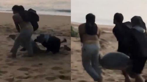 [VIDEO] Penyu Cherating Didakwa Dibawa Lari dan Dijual, Masyarakat Minta Polis Siasat Segera