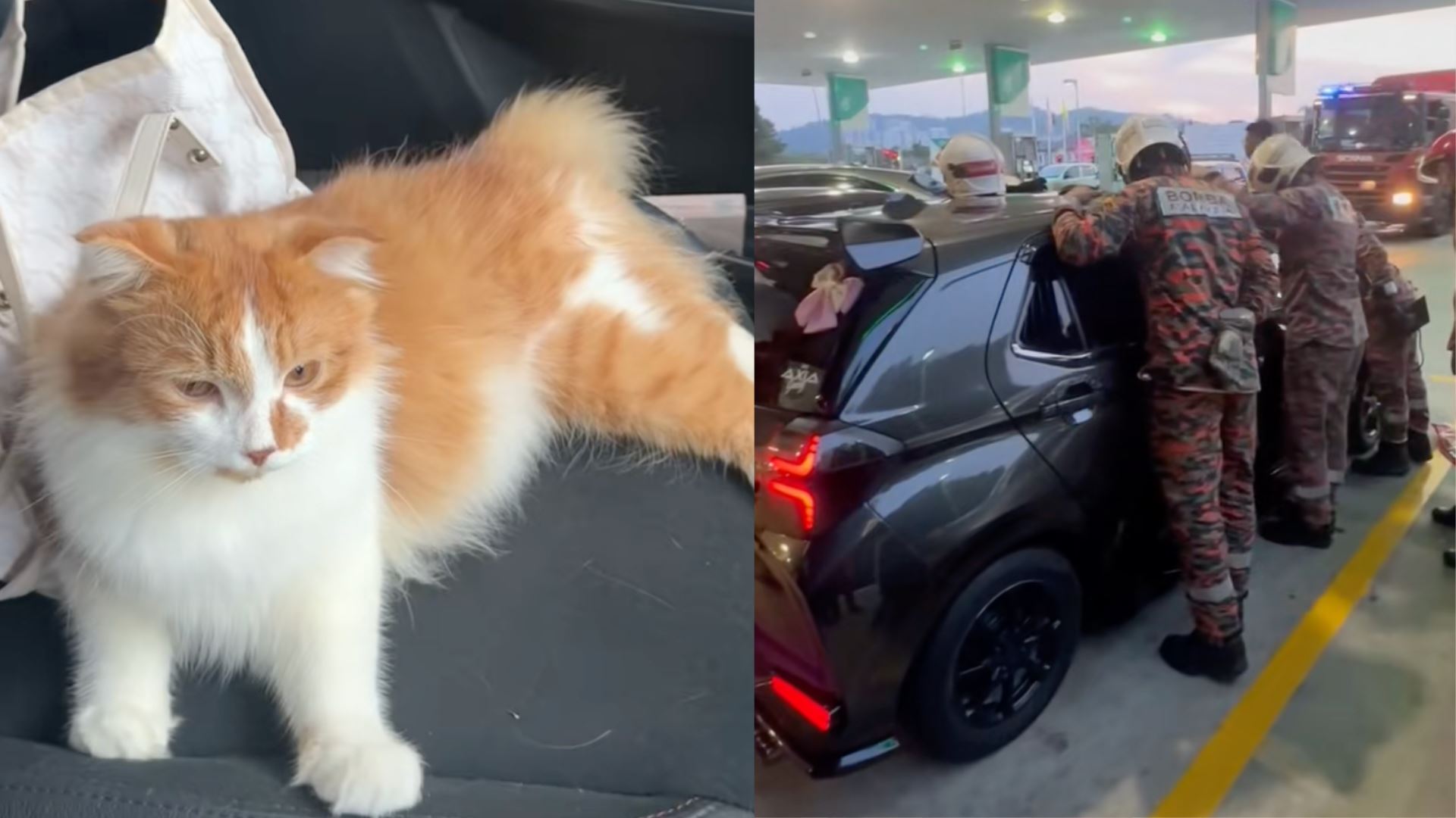 “Oyen Buat Hal Lagi...” - Kucing ‘Lock’ Kereta, Owner Panik Sampai Panggil Bomba