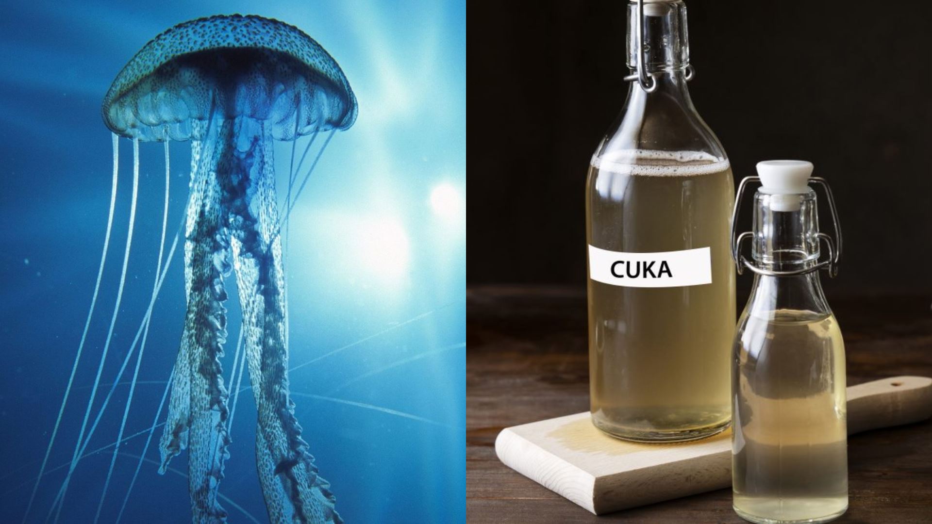 “Kena Sengat Sewaktu Mandi? Jangan Cari Air… Cari Cuka!” - Pengguna Threads Jelaskan Kesilapan Ramai Buat Tanpa Sedar