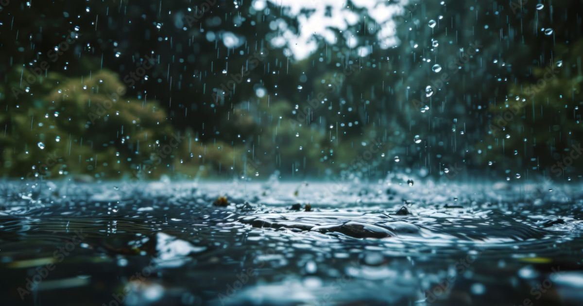 Setiap Kali Hujan Turun, Bau Ini Muncul… Sains Akhirnya Dedahkan Namanya!