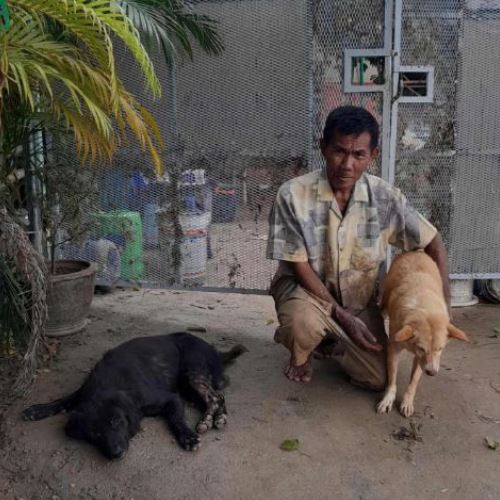 banjir tidak pisahkan mereka,  warga emas viral meraung tidak sangka anjingnya selamat daripada banjir