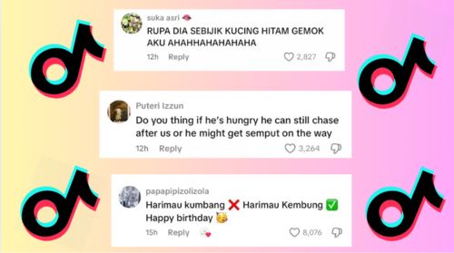 [video] apoh, harimau kumbang montel zoo negara jadi mangsa body shaming netizen