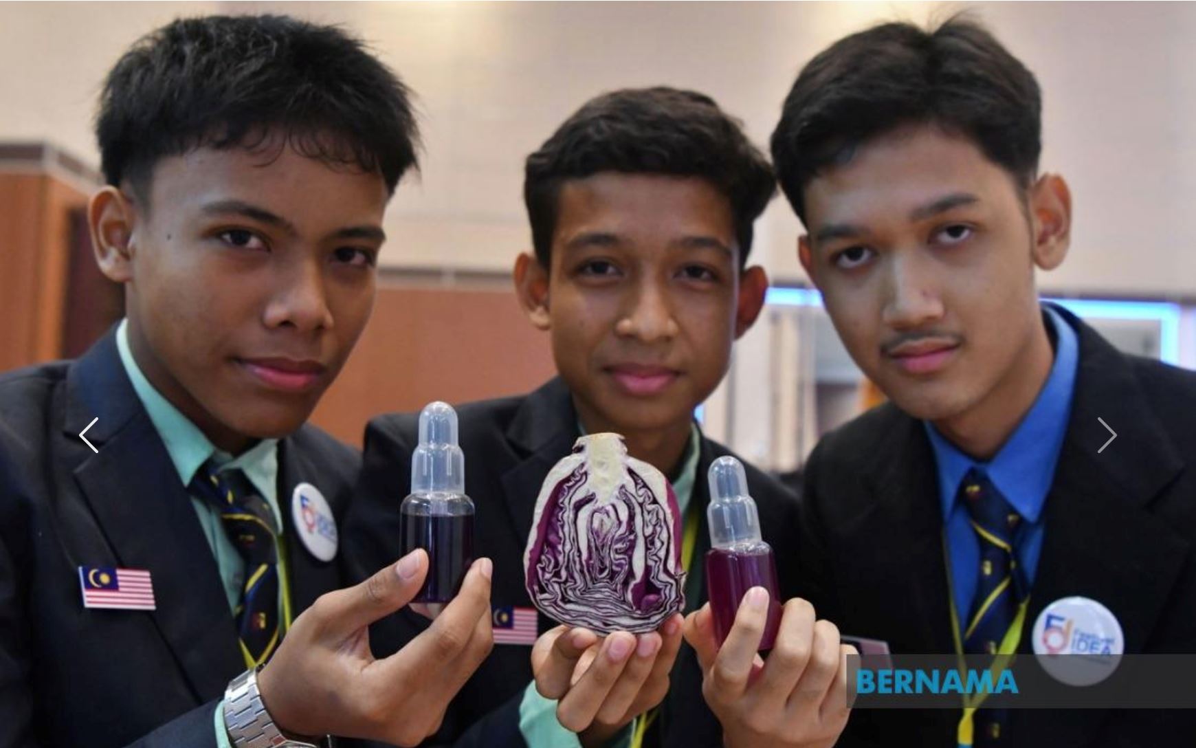 pelajar kelantan cipta colourguard, cecair kubis ungu pengesan pewarna tiruan