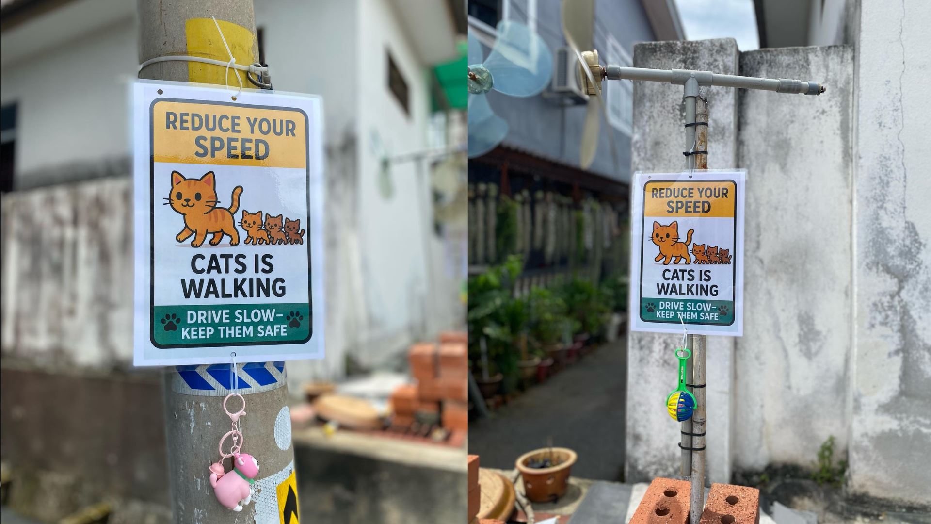 Demi Lindungi Kucing, Wanita Ini Letak Papan Tanda ‘Perlahankan Kenderaan’ Di Kawasan Perumahan