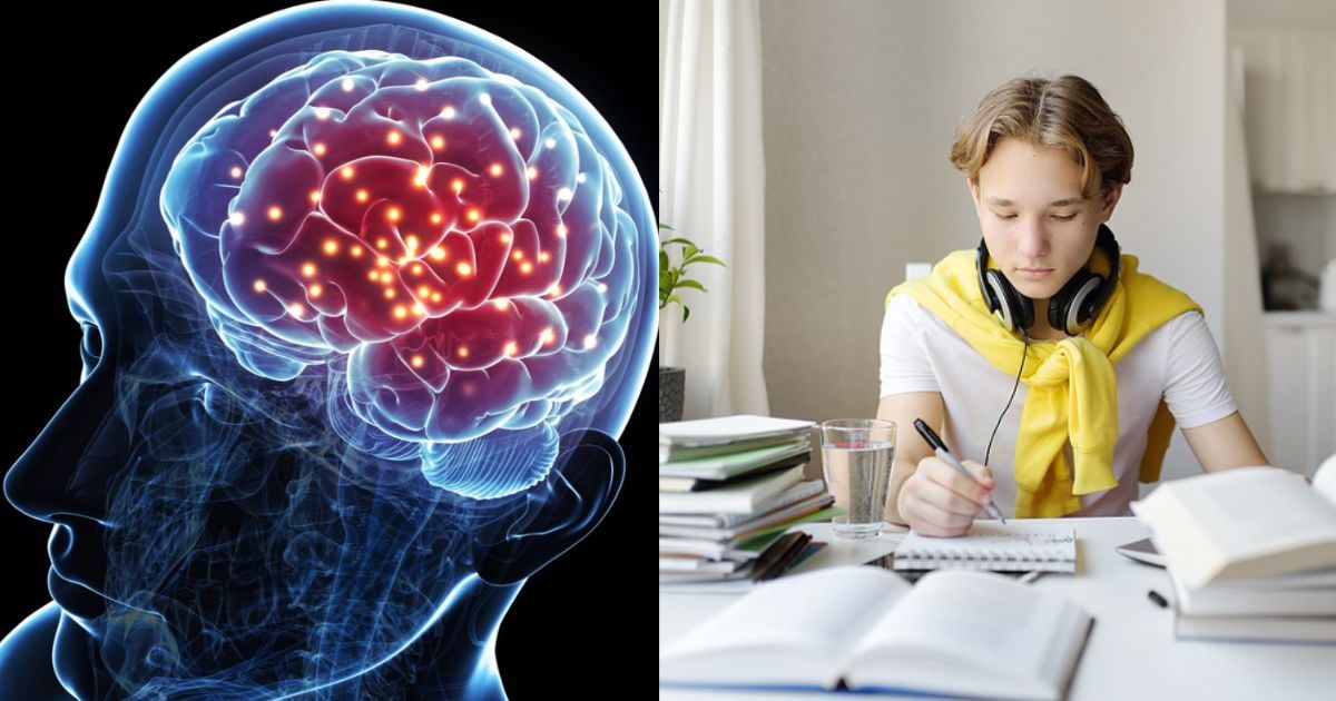 Rahsia Menguatkan Ingatan, Latih Otak Jadi Lebih Hebat!