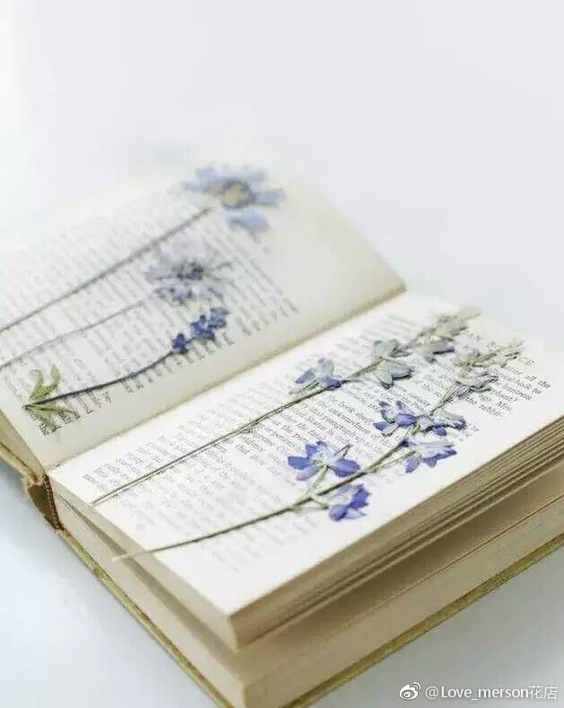 制作diy干花🌹超简单又文青～【女生必看】