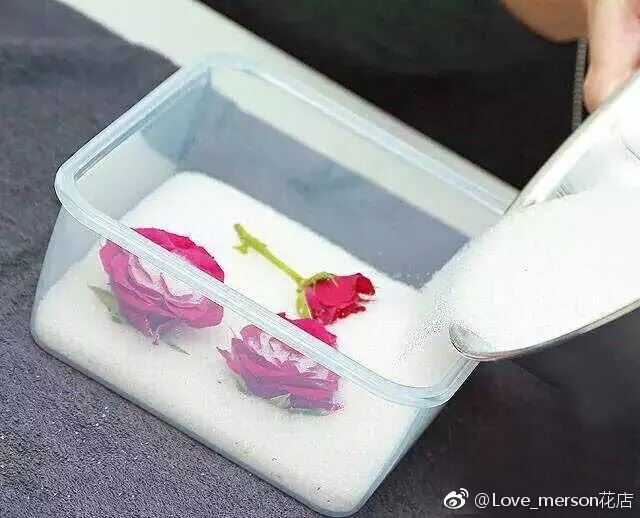 制作diy干花🌹超简单又文青～【女生必看】