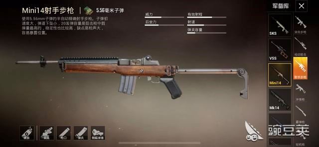 《和平精英》该用什么枪?轻松吃鸡!【初学者必看】