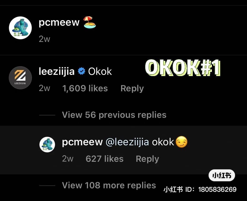 羽球男单「李梓嘉」被传恋爱？与泰国女单晒同地点照