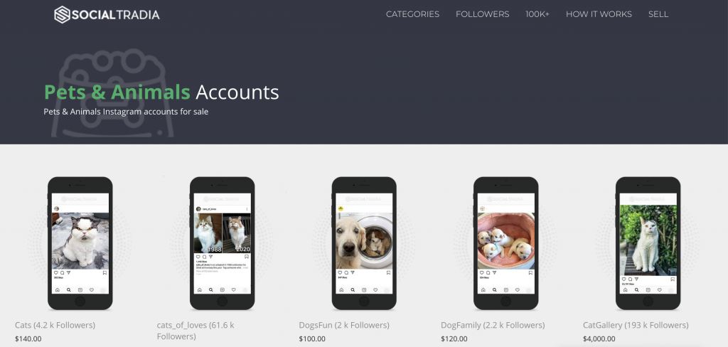 学生必看 | instagram赚钱的5个方法!不是网红也可以~