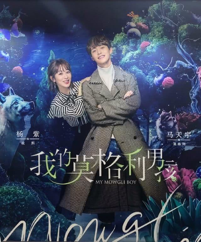 杨紫首演霸气总裁!《我的莫格利男孩》预告出炉!
