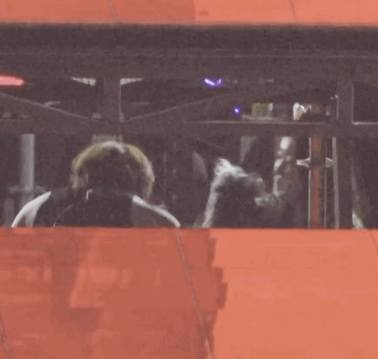 蔡徐坤穿衣显瘦、脱衣显肉❤️性感肌肉！危险又迷人⚠️