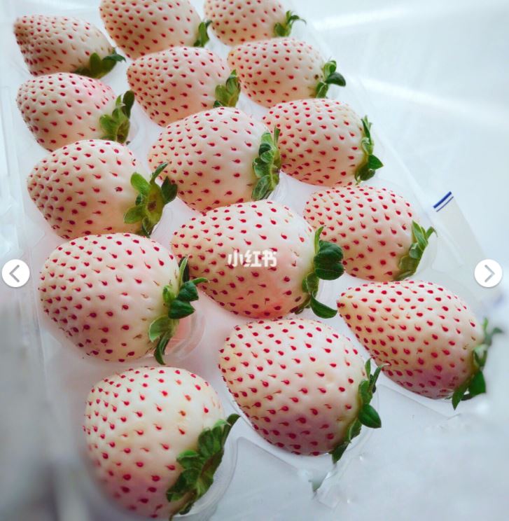 超流行ins白草莓 比红草莓味道更浓郁 ! 更香~