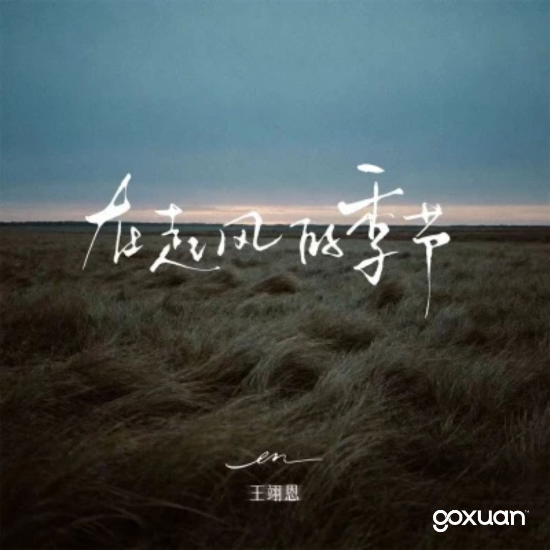 goxuan #新歌上线 2025