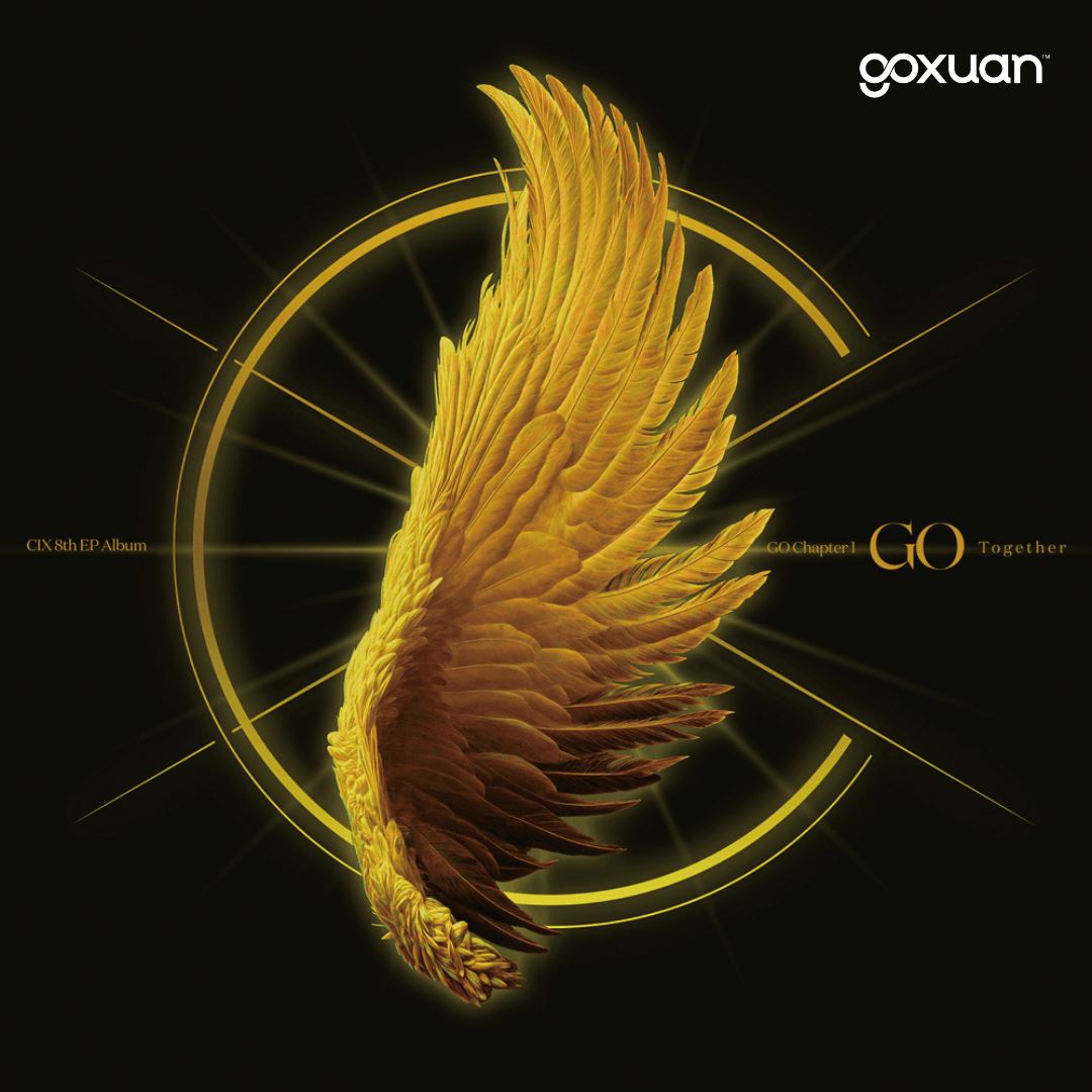 goxuan #新歌上线 2025