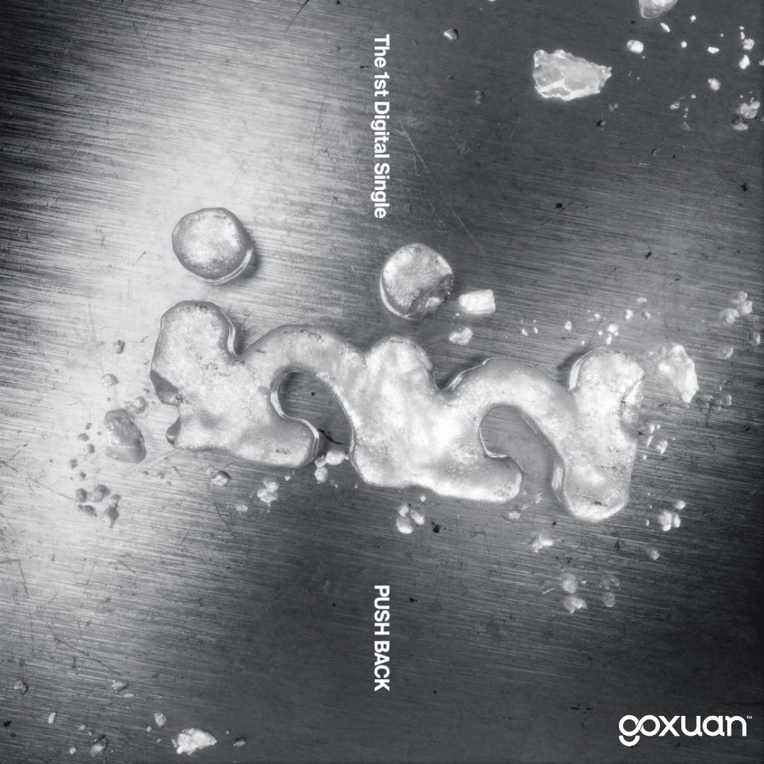 goxuan #新歌上线 2025