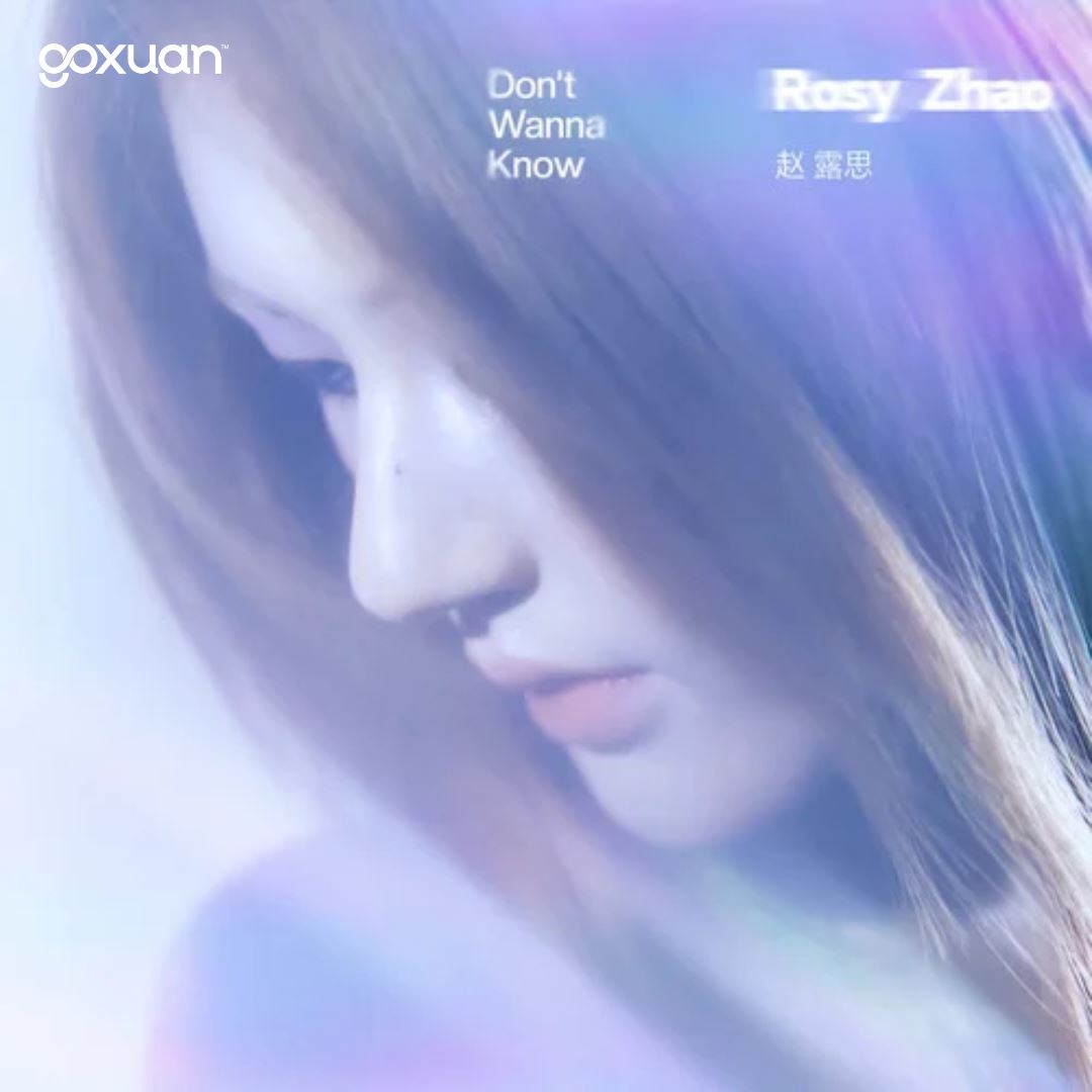 goxuan #新歌上线 2025