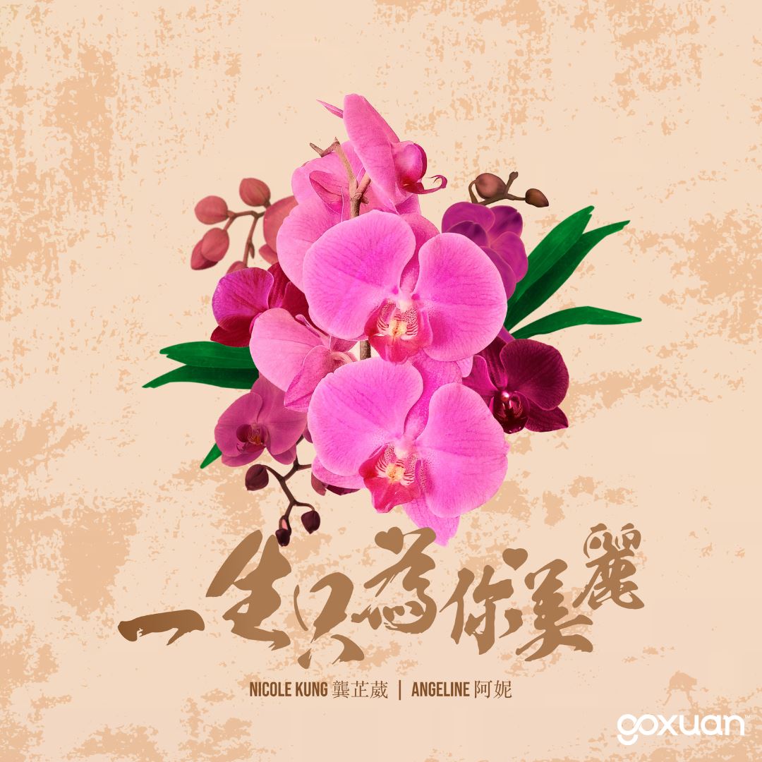 goxuan #新歌上线 2025