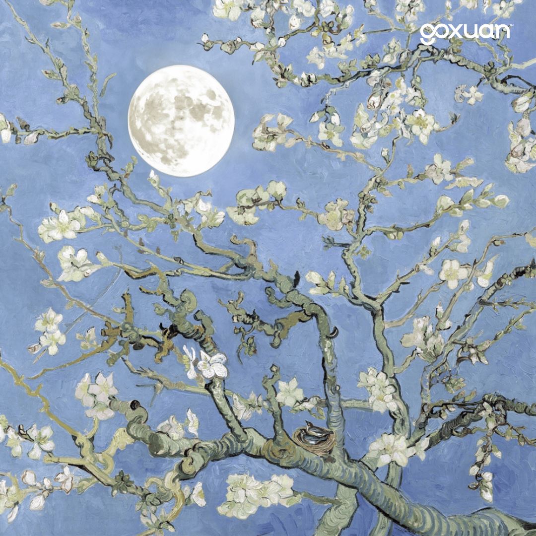 goxuan #新歌上线 2025