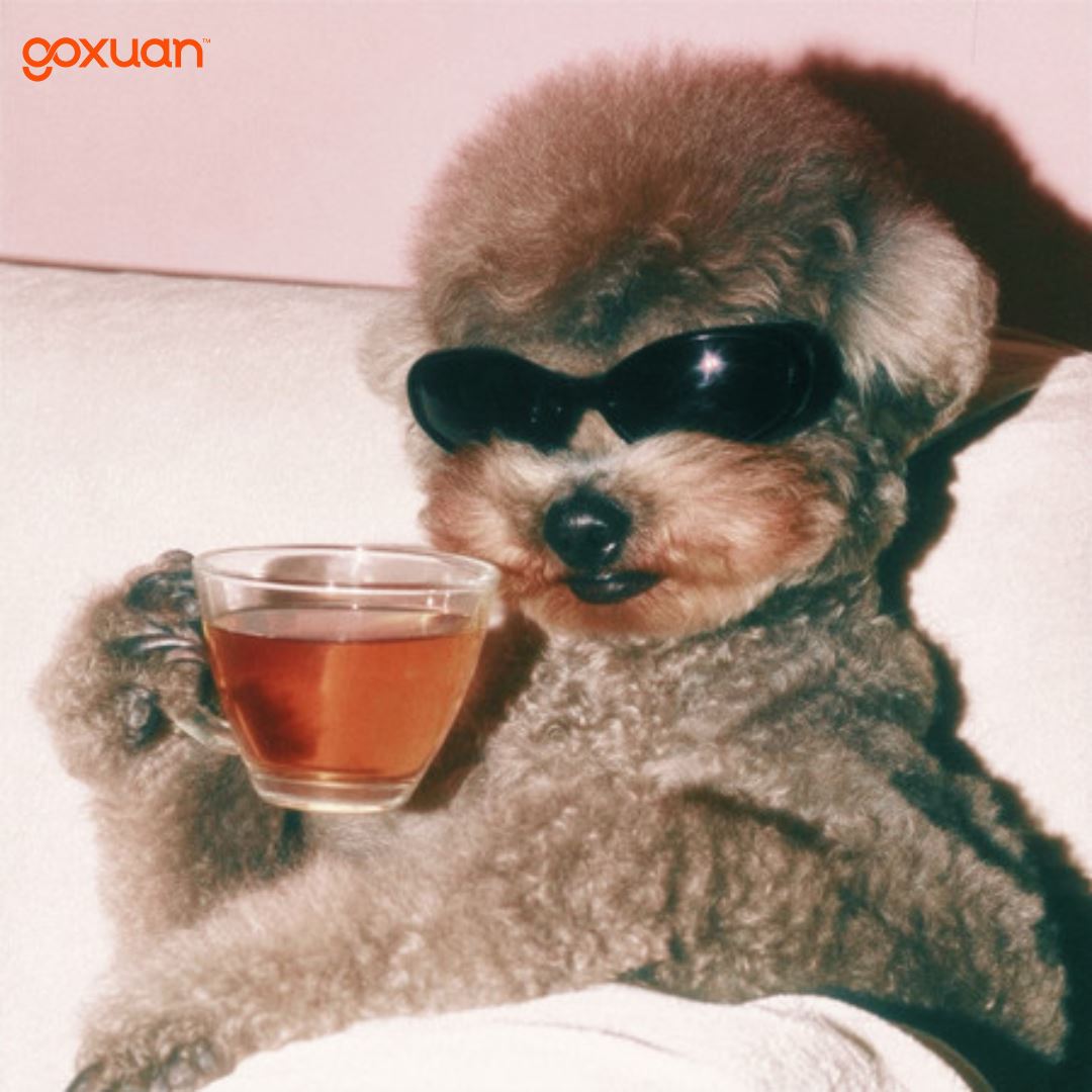 goxuan #新歌上线 2025