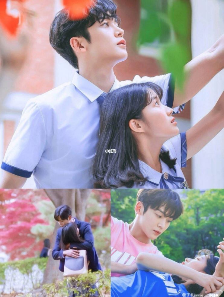 【高甜漫改韩剧】💗甜死你!疯狂心动的cp们~