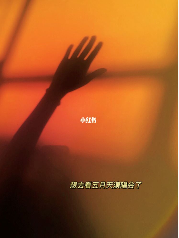 超流行的“日落灯”不需要买也可以拍！🌞📷