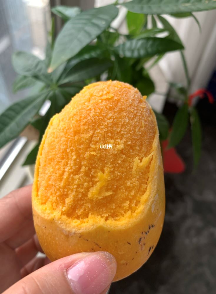 超红【冰冻芒果】只需芒果放进冰箱！立马变冰淇淋❤️