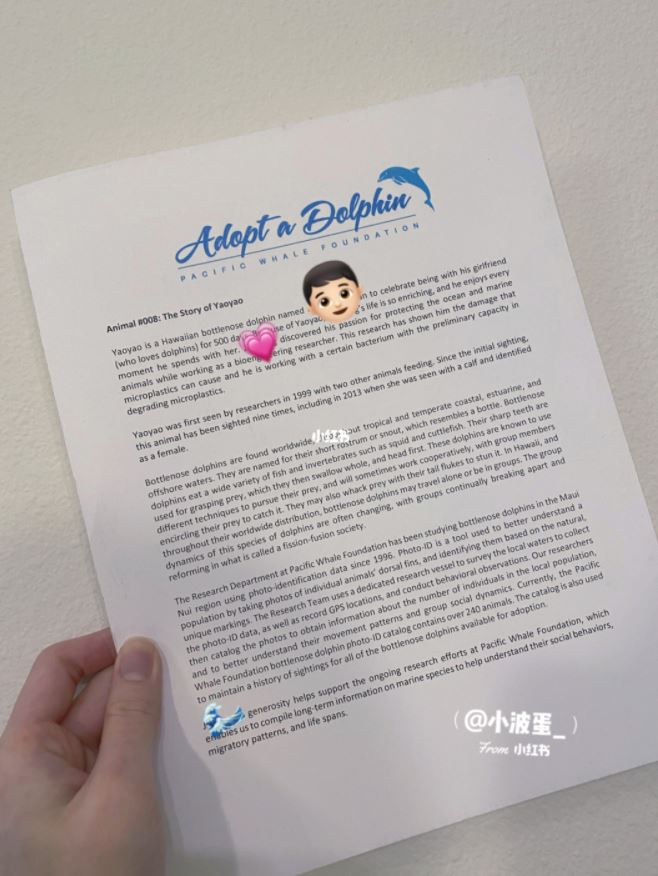 领养属于自己的海豚【海洋动物领养计划】申请教学