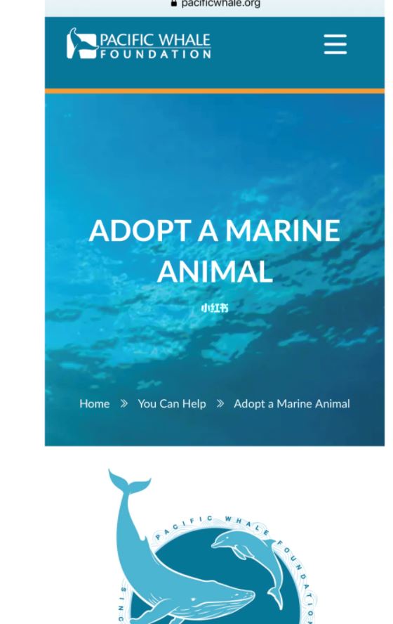 领养属于自己的海豚【海洋动物领养计划】申请教学
