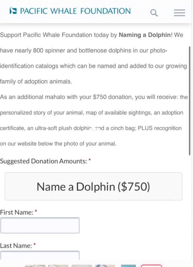 领养属于自己的海豚【海洋动物领养计划】申请教学