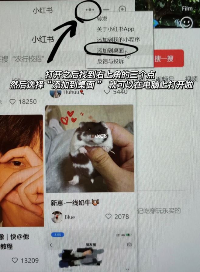 🖥️ 电脑也可以看【小红书】！教你方法⚠️
