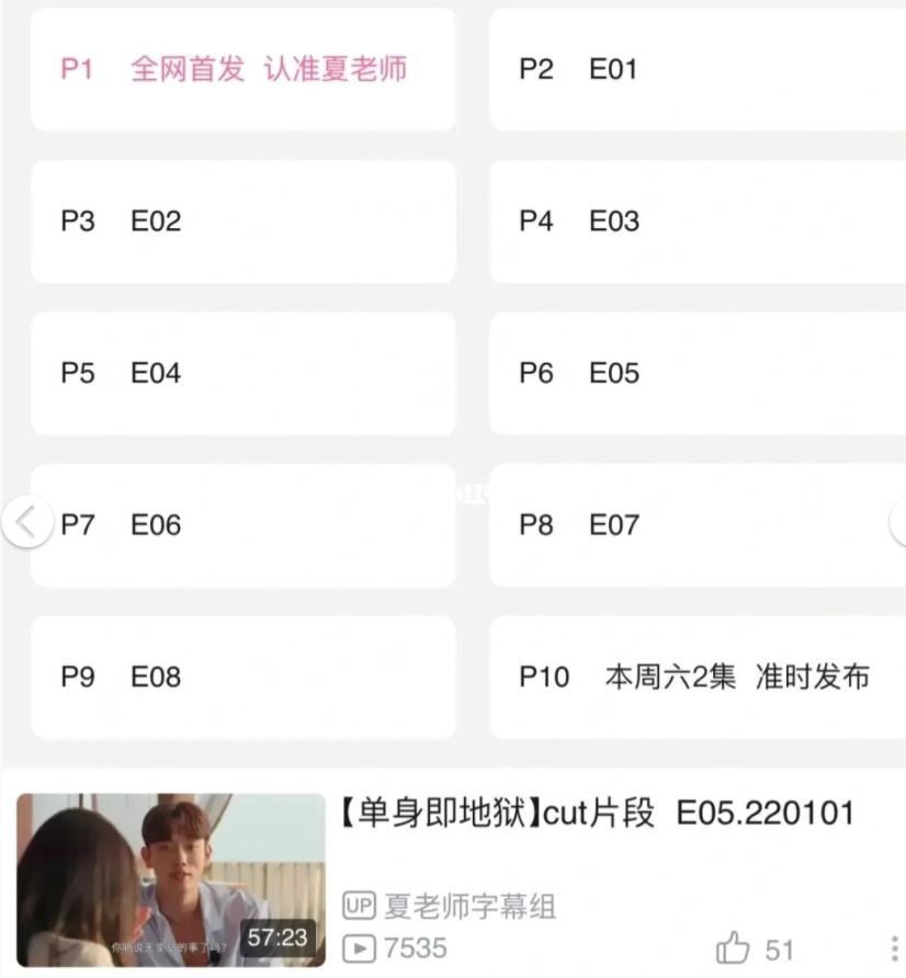 《单身即地狱》有后续？星期六更新两集！