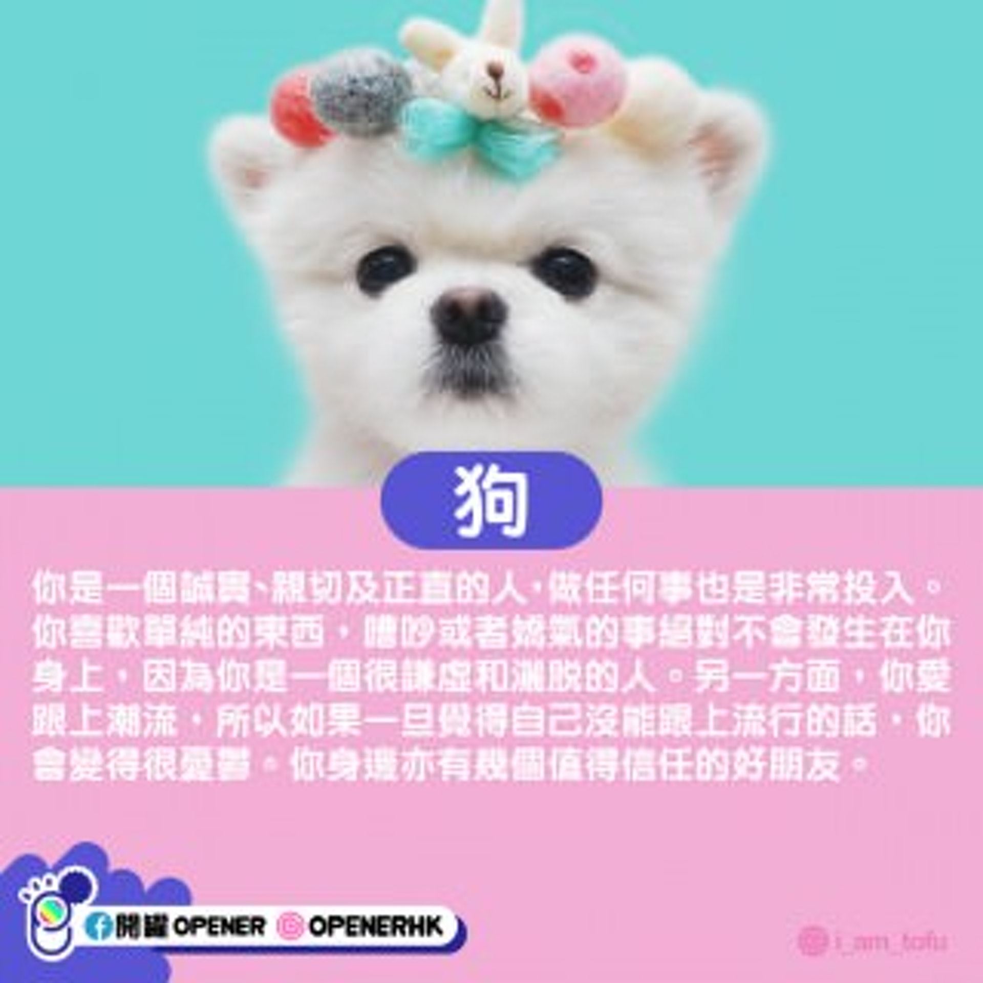 【韩国心理测验】从生日日期看代表动物！测出性格