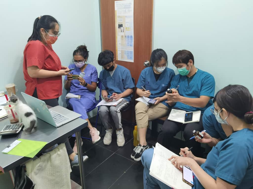 spm后打工【兽医帮手经历】兽医诊所当义工❤️