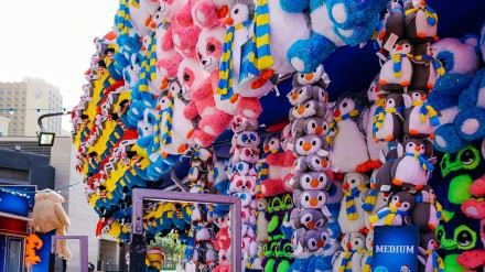 这个夹娃娃机游乐场也太”壮观“了吧