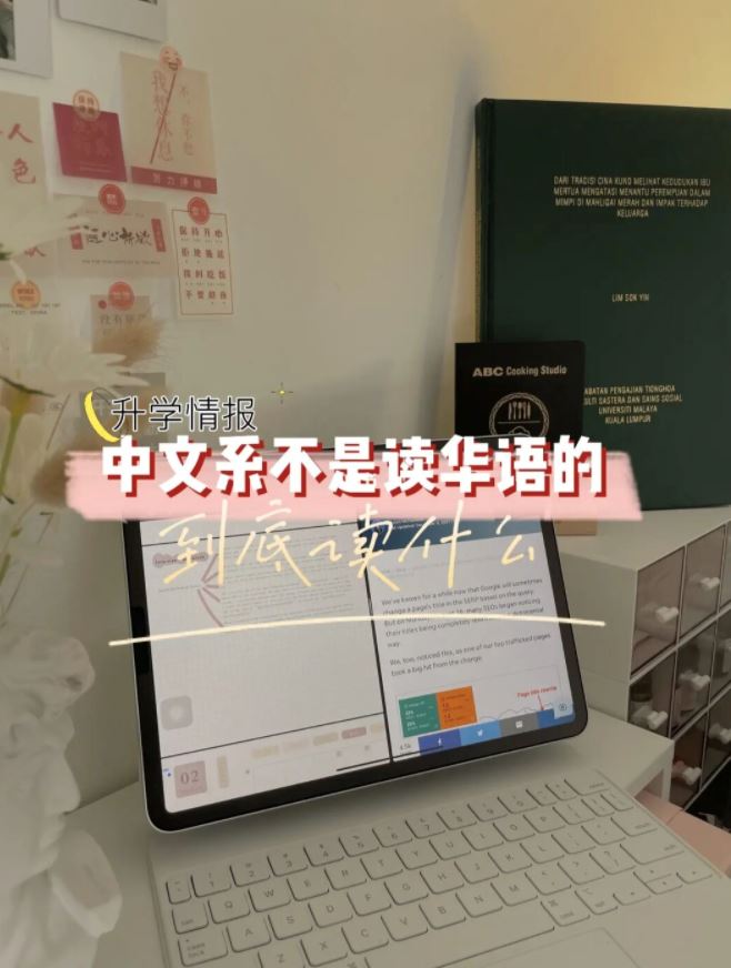马大【中文系】不是读华语的！能做什么工？