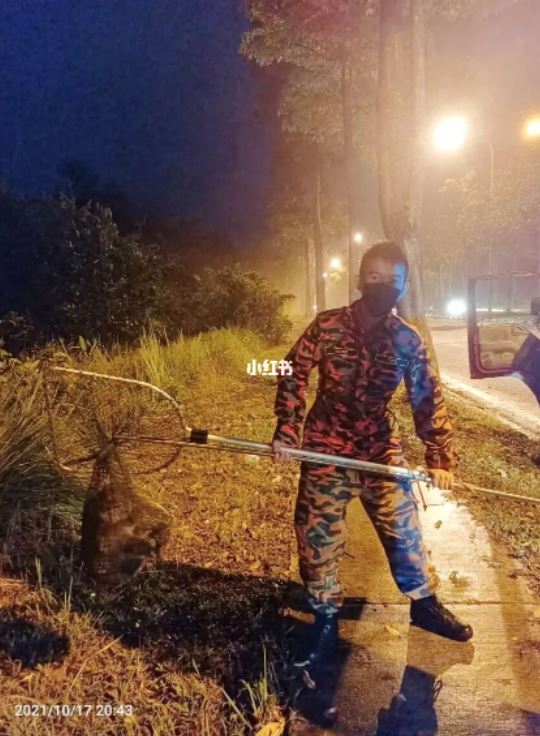 🇲🇾你也可以当【志愿消防员】!本人真实分享+申请管道