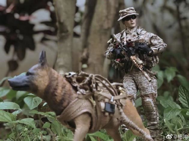 杨洋晒军装照庆祝杀青 即将上映！