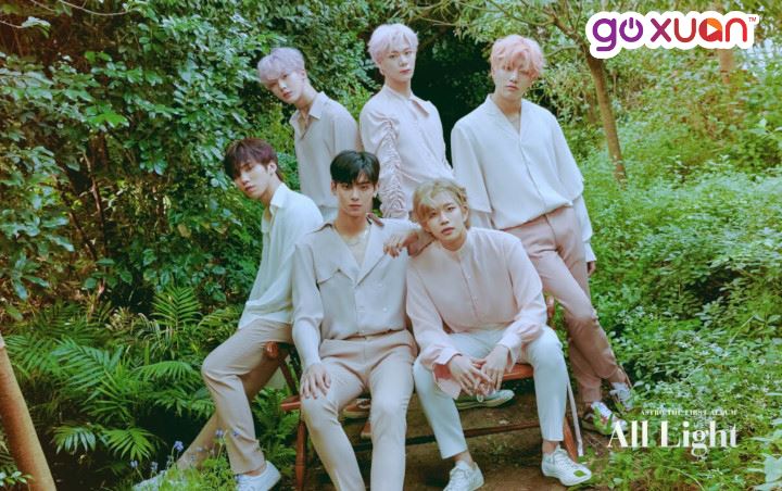 goxuan #sotd 2019