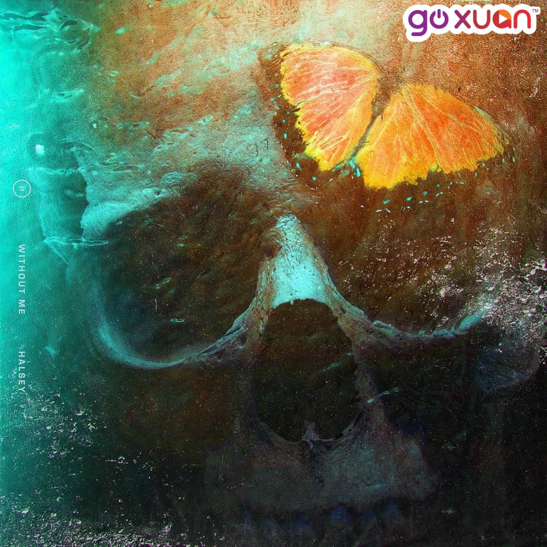 goxuan #sotd 2019