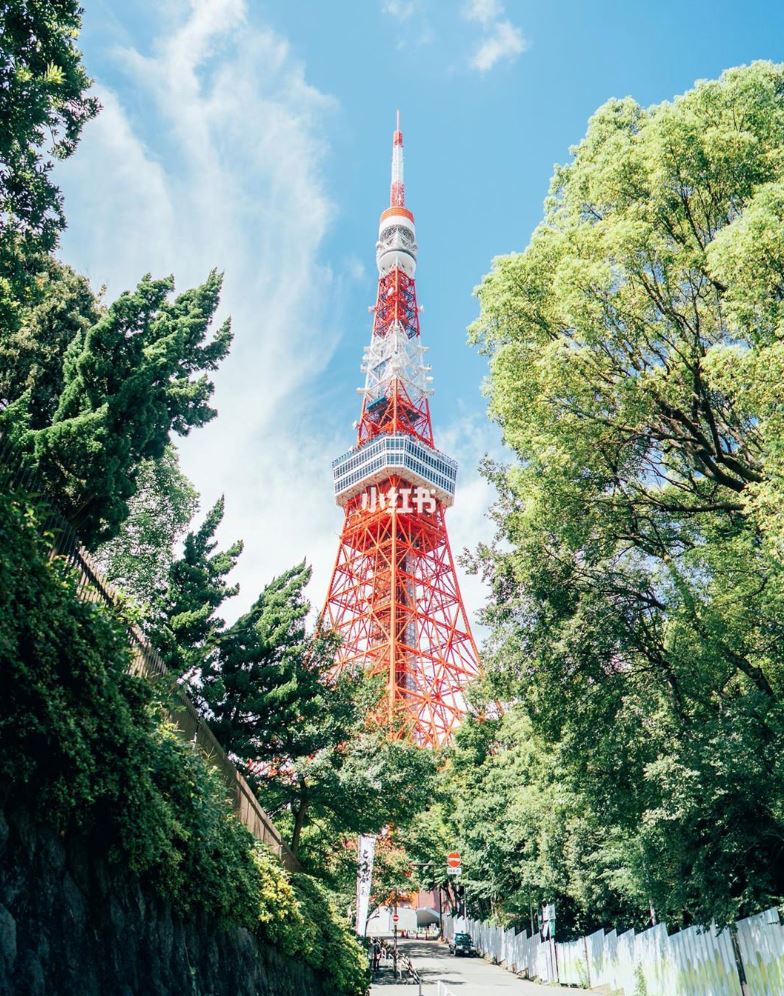 东京最热打卡点🔥周杰伦《说好不哭》mv取景地