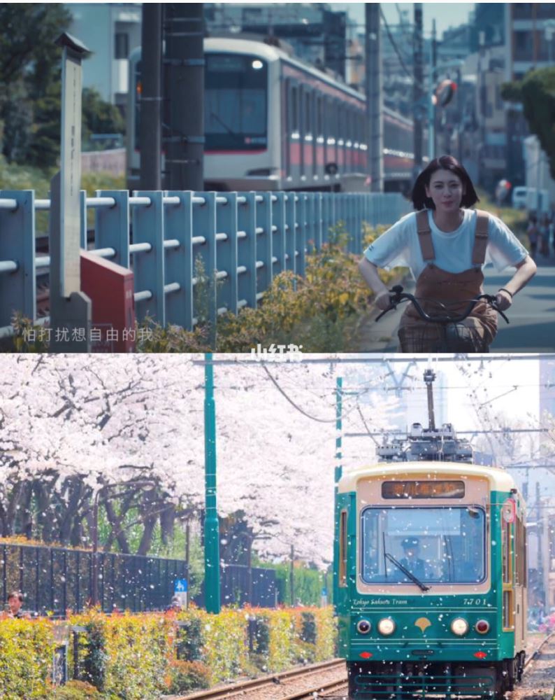 东京最热打卡点🔥周杰伦《说好不哭》mv取景地