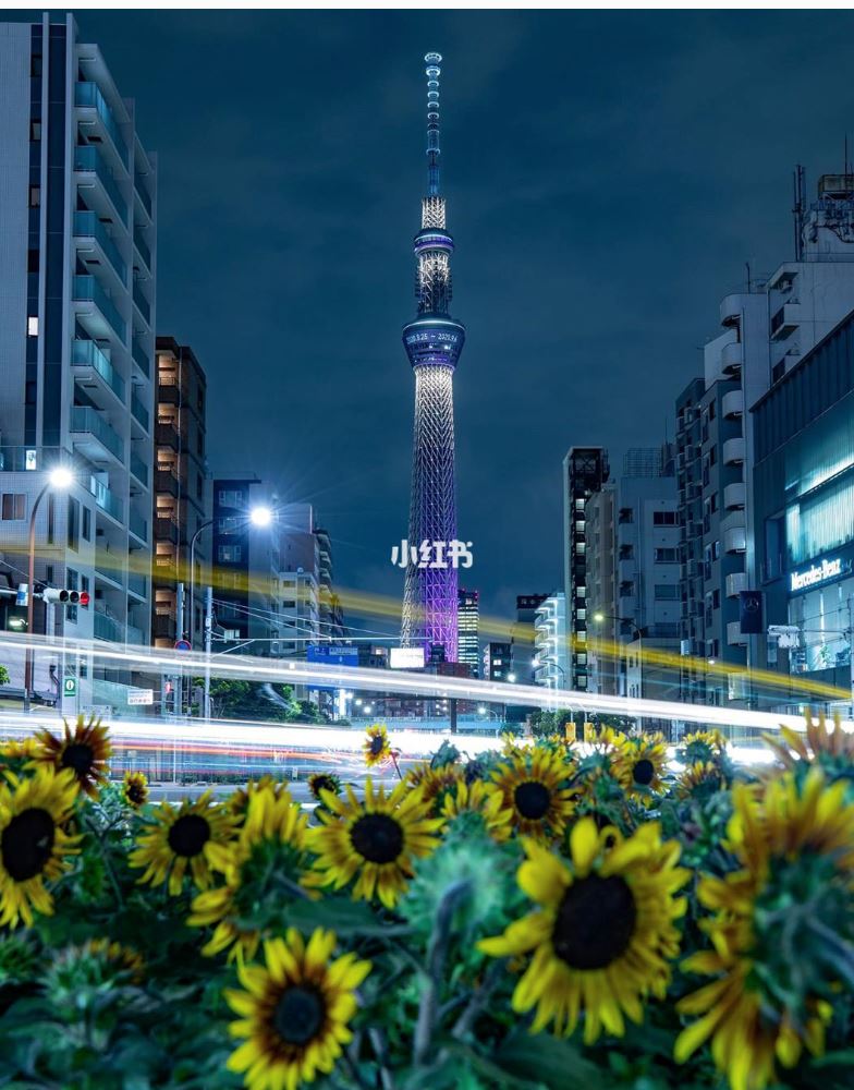  东京最热打卡点🔥周杰伦《说好不哭》mv取景地