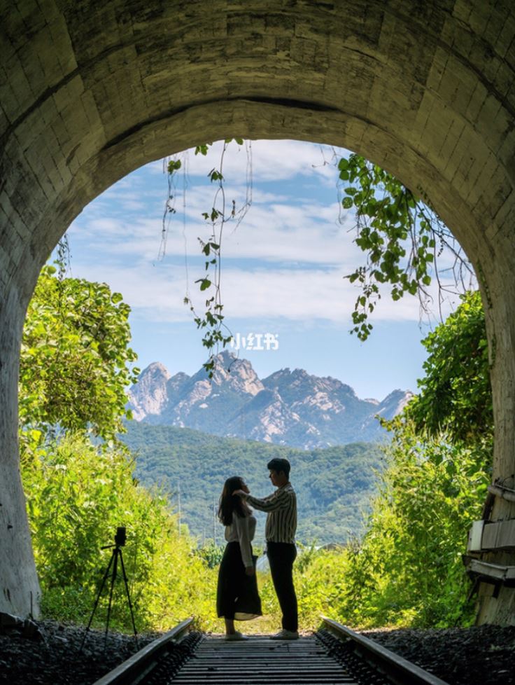 韩国童话般梦幻隧道 | 女孩们的梦想