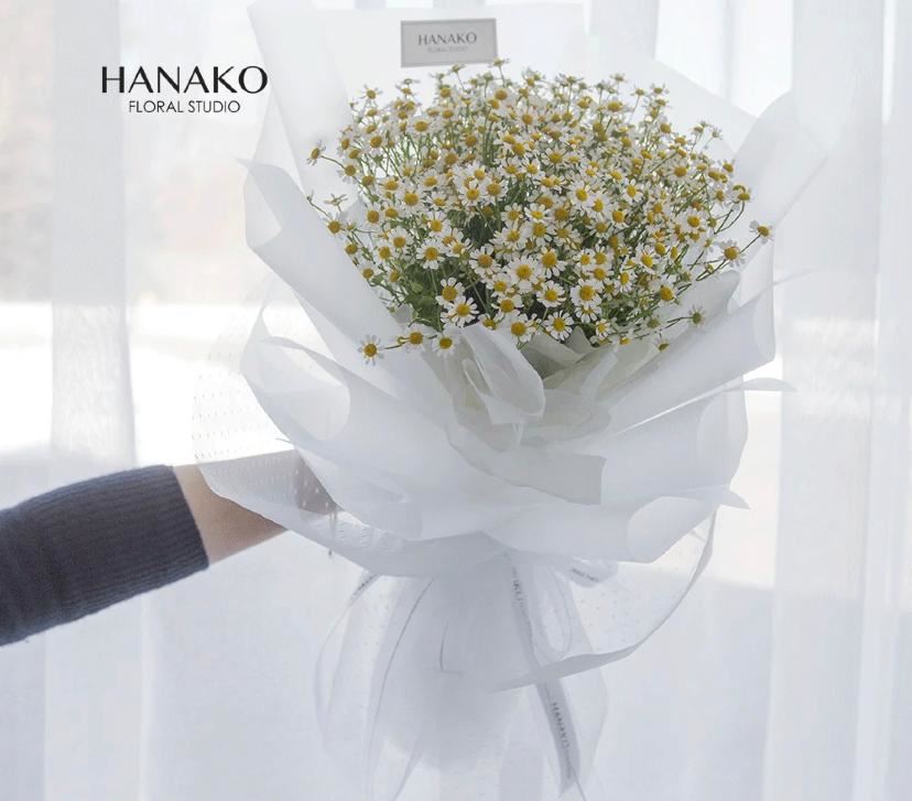 网红花【洋甘菊】🌼女生都爱！