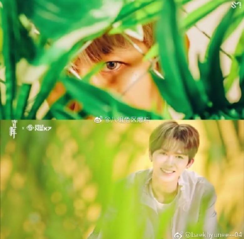 乐华七子新广告爆抄袭韩团exo！网揪「7大相似处」｜goxuan