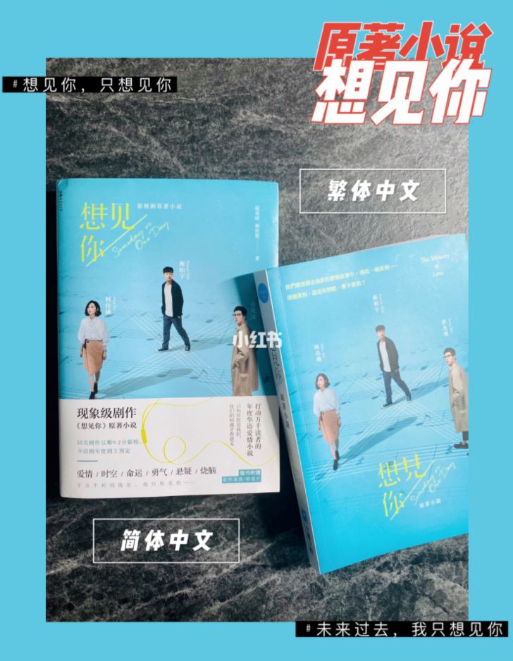 《想见你》原着小说！结局和剧版有点不同！有简体版的！
