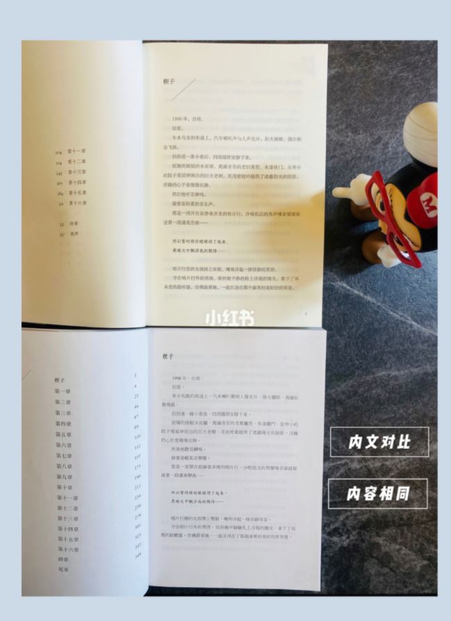 《想见你》原着小说！结局和剧版有点不同！有简体版的！