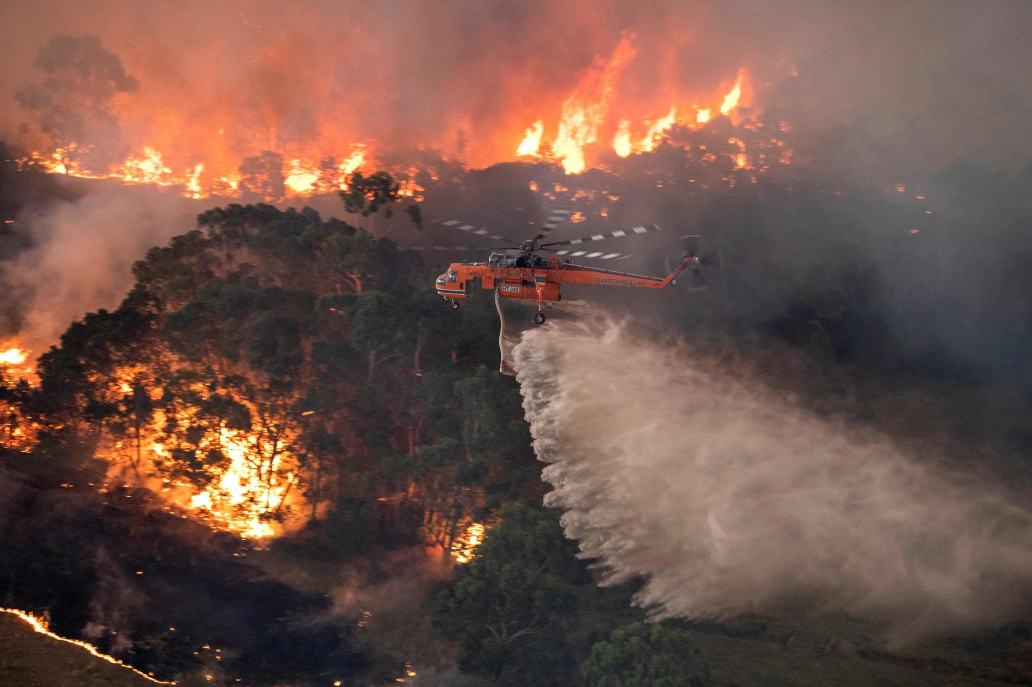australia skies turn red as bushfire kill half a billion animals