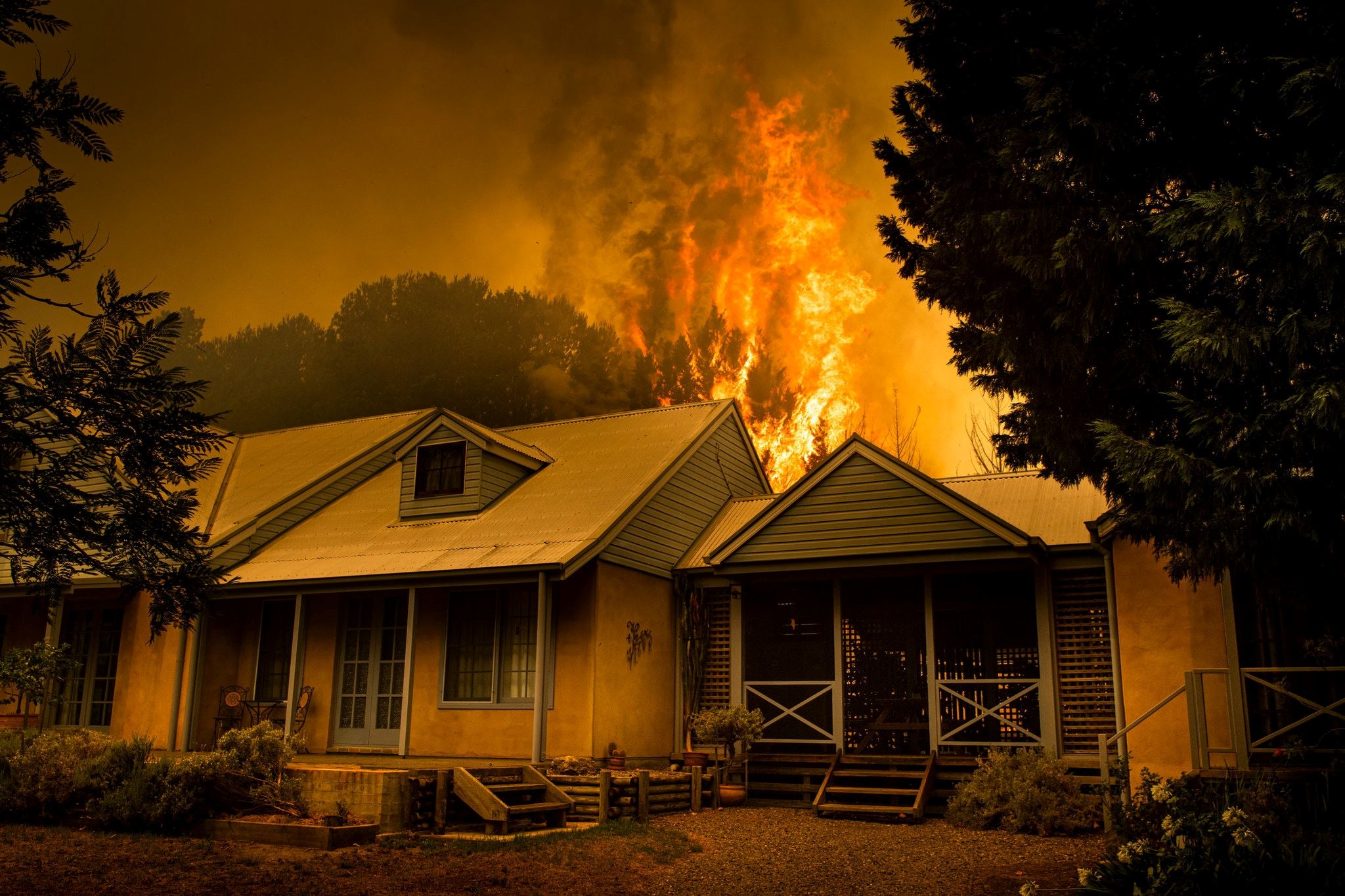 australia skies turn red as bushfire kill half a billion animals